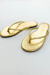 TKEES Tubular Lily Blink BLN