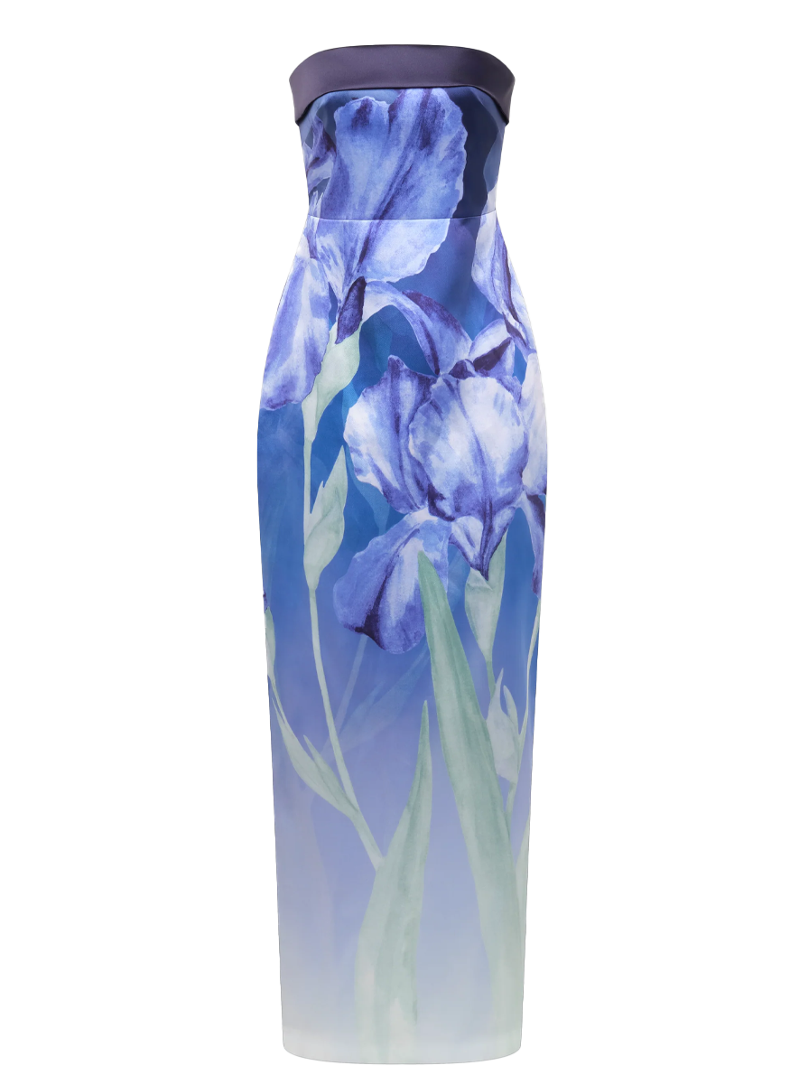 Robe colonne bustier Theia Cyrilla Moonlight Bloom
