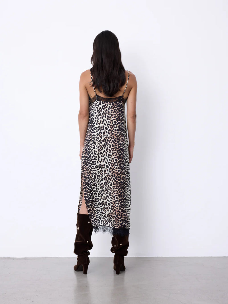 NotShy Minerva Dress