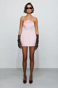 Et Ochs Jaxon Corseted Mini Dress