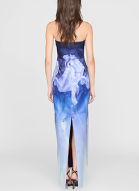 Robe colonne bustier Theia Cyrilla Moonlight Bloom