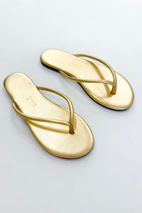 TKEES Tubular Lily Blink BLN
