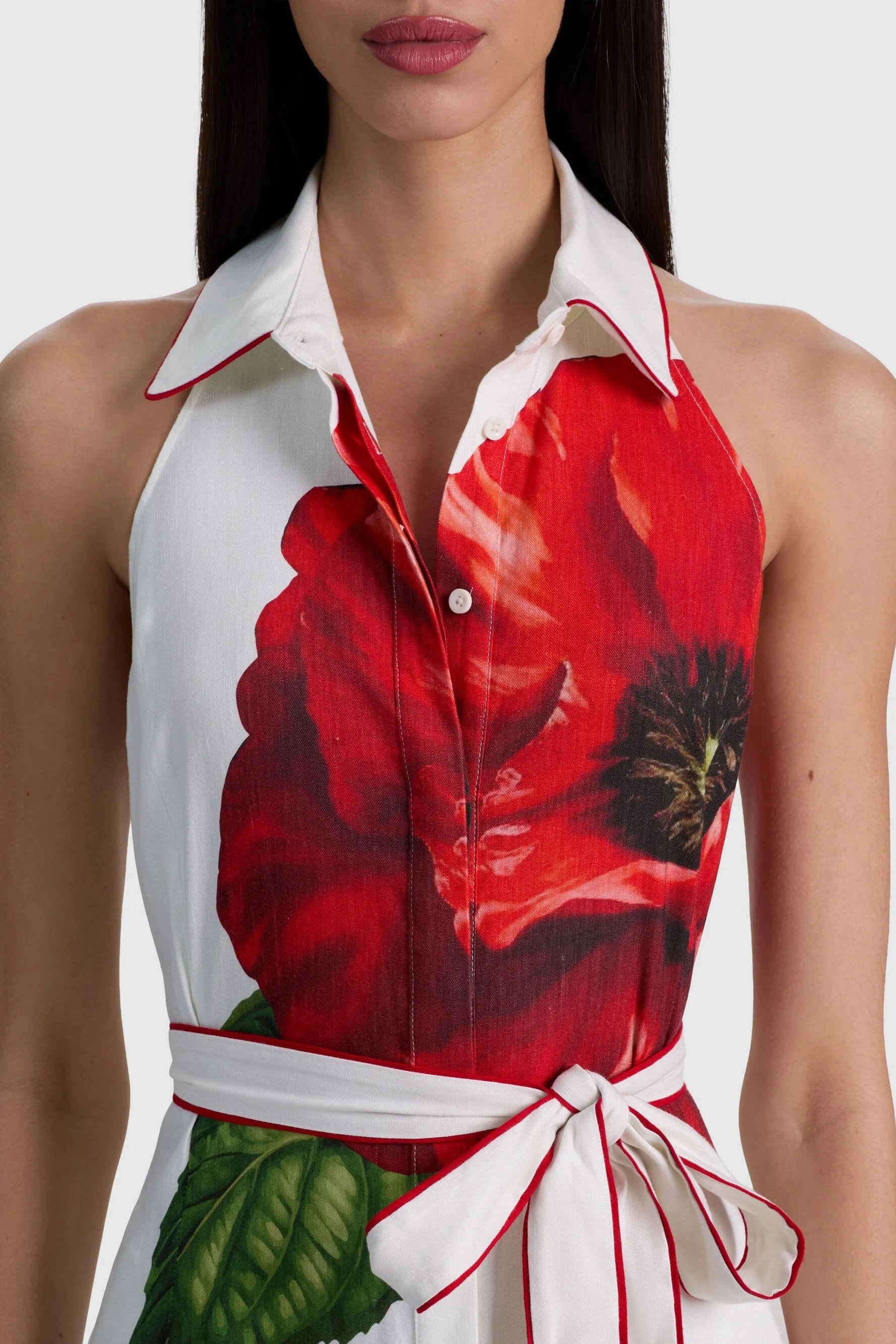Alice + Olivia Chassidy Halter Maxi Dress Summer Poppy