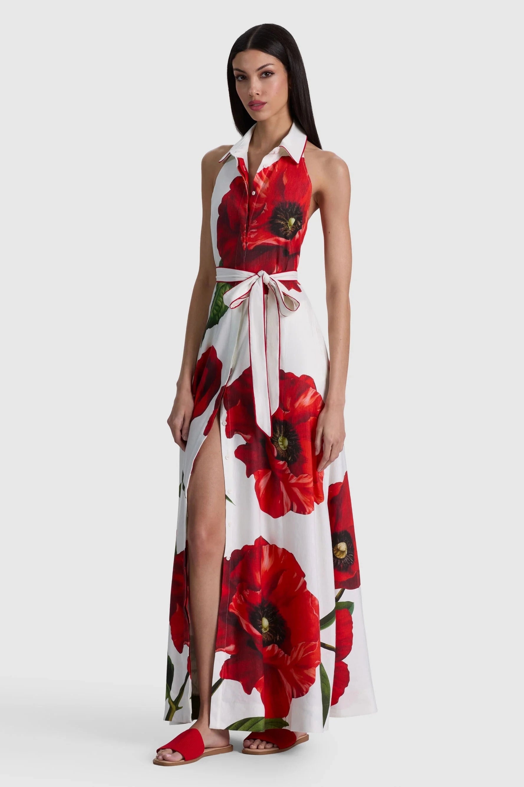 Alice + Olivia Chassidy Halter Maxi Dress Summer Poppy