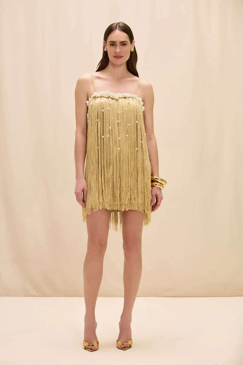 PatBo Aurea Crochet Mini Dress - Gold