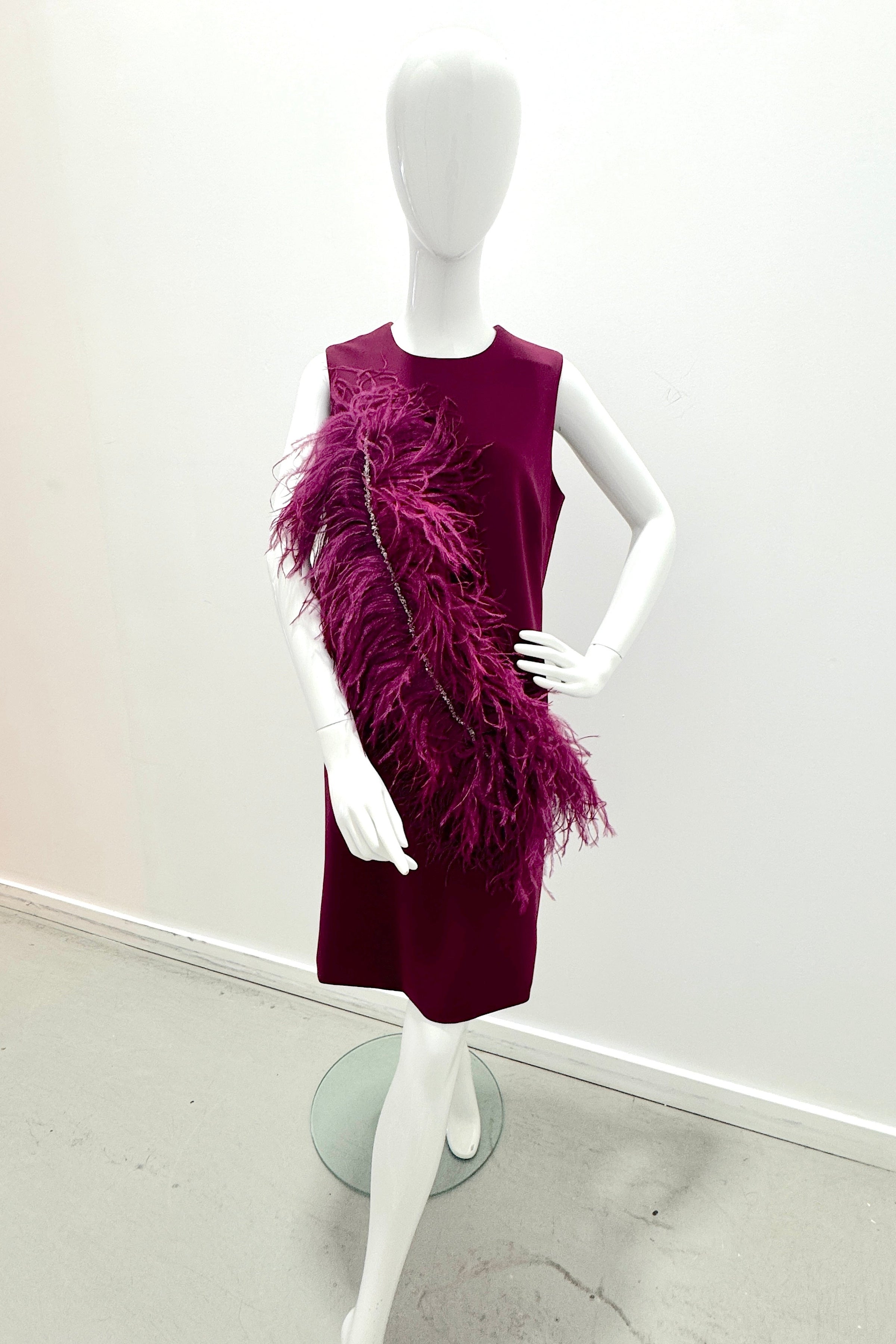 Catherine Regehr Sleeveless Jewel Neck Arak Dress W/ Narrow Plume & Crystals Plum
