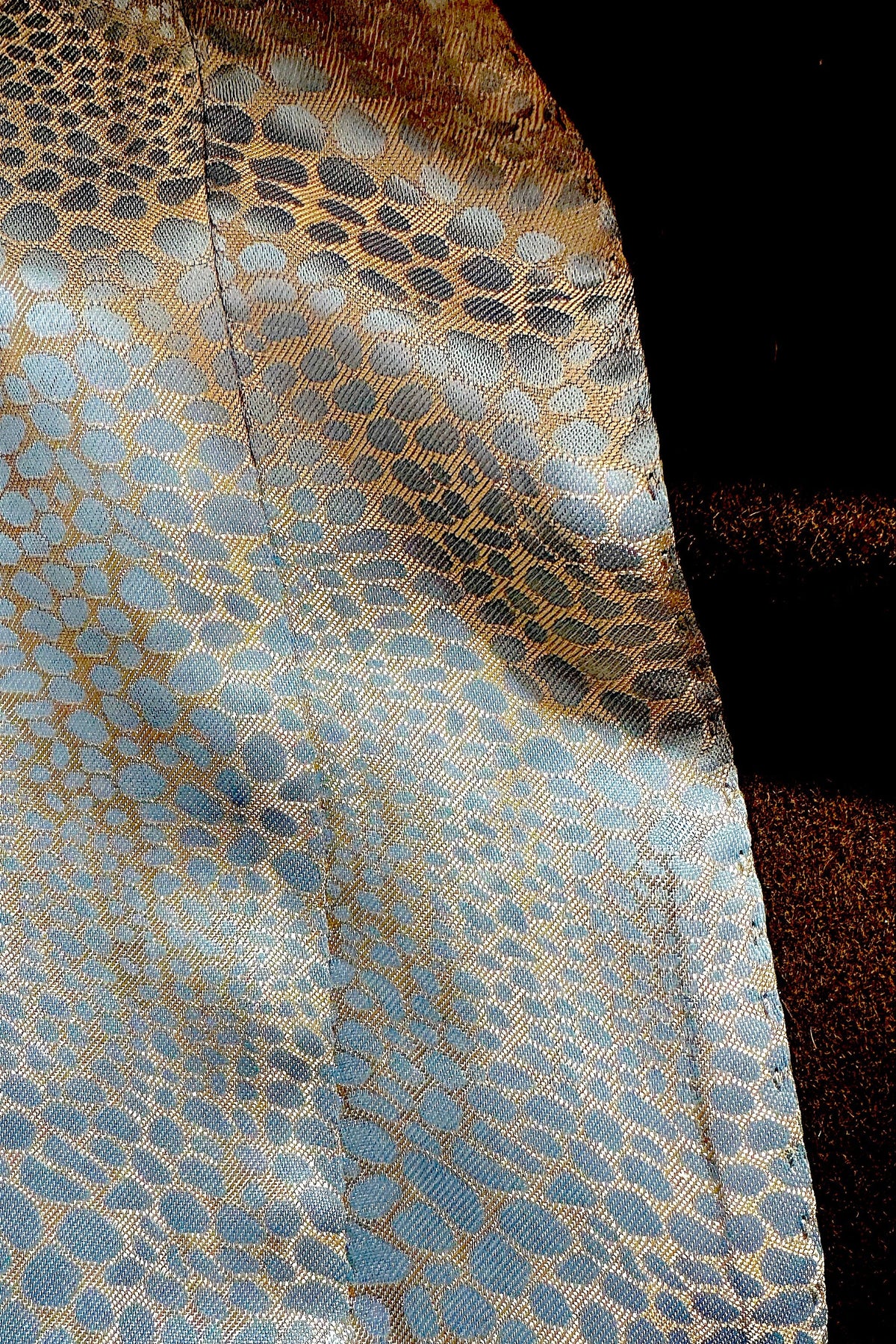 TC Sports veste Moka/Gold, doublure léopard bleu sarcelle