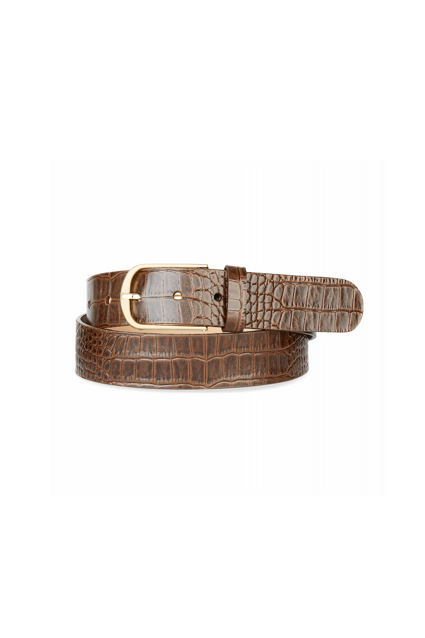 Brave Brayan Belt - Acorn Barcelona/Gold